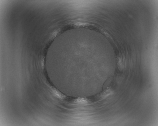 X0000067500668200604071228