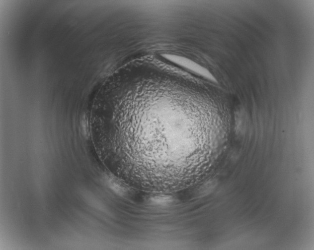 X0000067500669200604071228