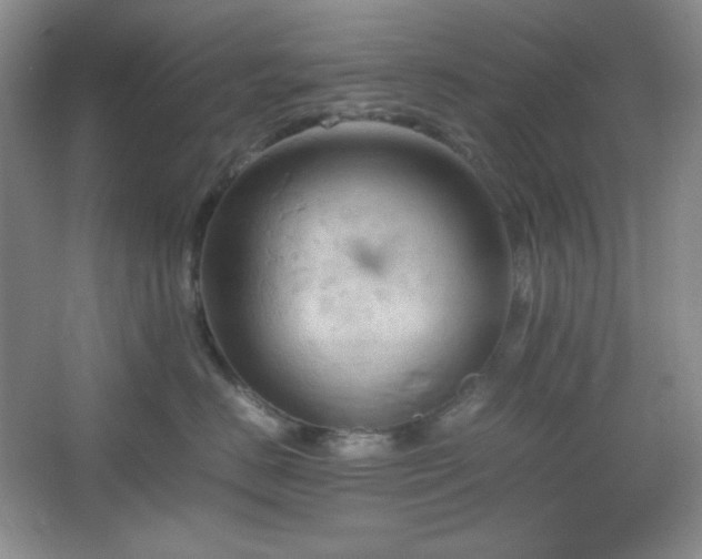 X0000067500670200604071228