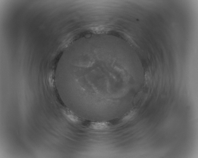 X0000067500671200604071228