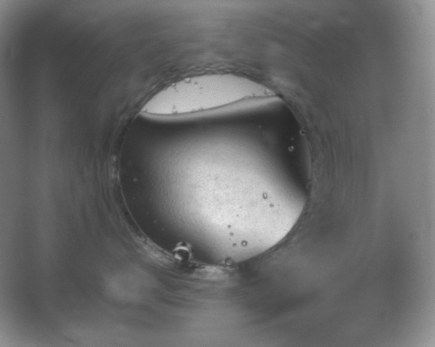 X0000067500672200604071228