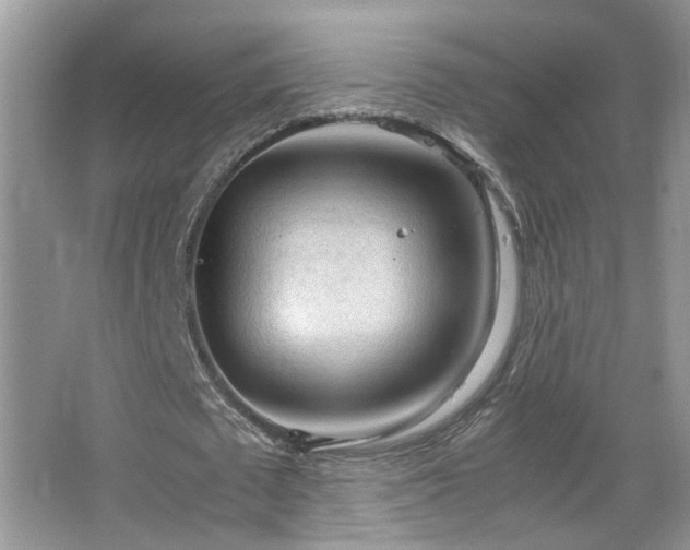 X0000067500673200604071227