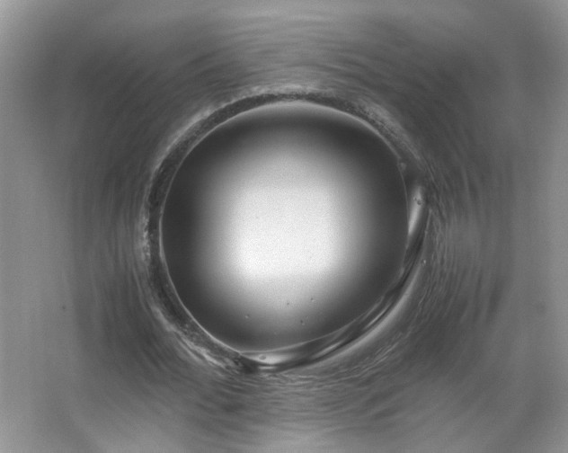 X0000067500676200604071227