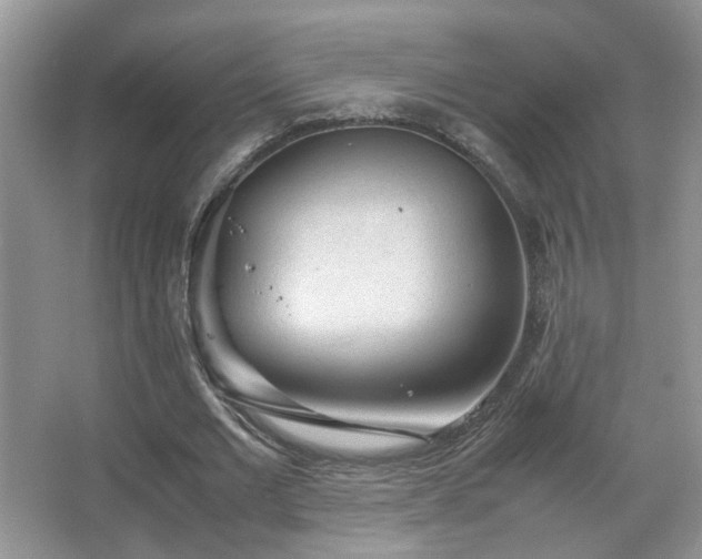 X0000067500677200604071227