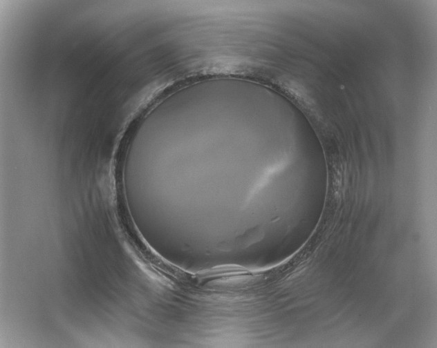 X0000067500678200604071227