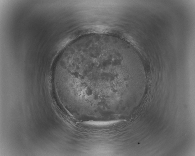 X0000067500679200604071227