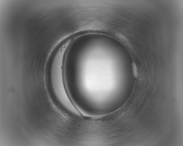 X0000067500680200604071227