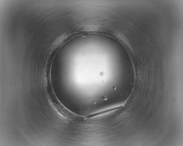 X0000067500682200604071227