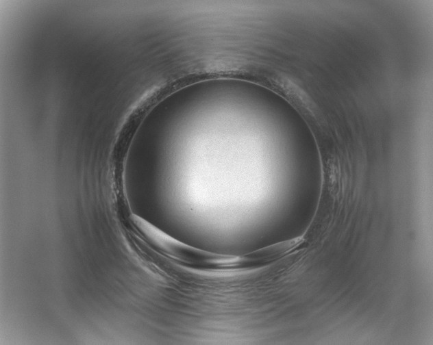 X0000067500684200604071227