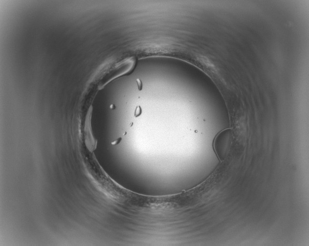 X0000067500686200604071227