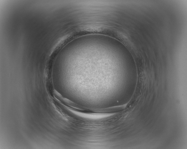 X0000067500688200604071227