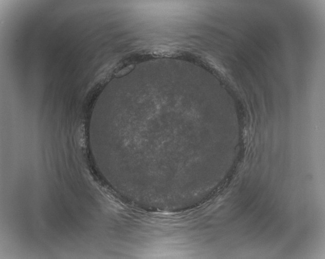 X0000067500689200604071227