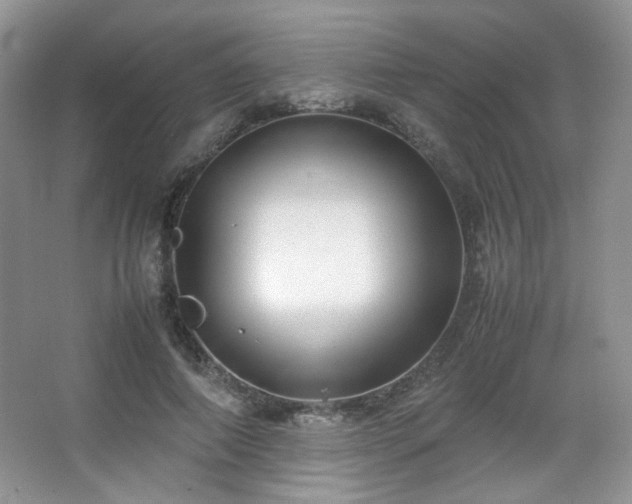 X0000067500690200604071227