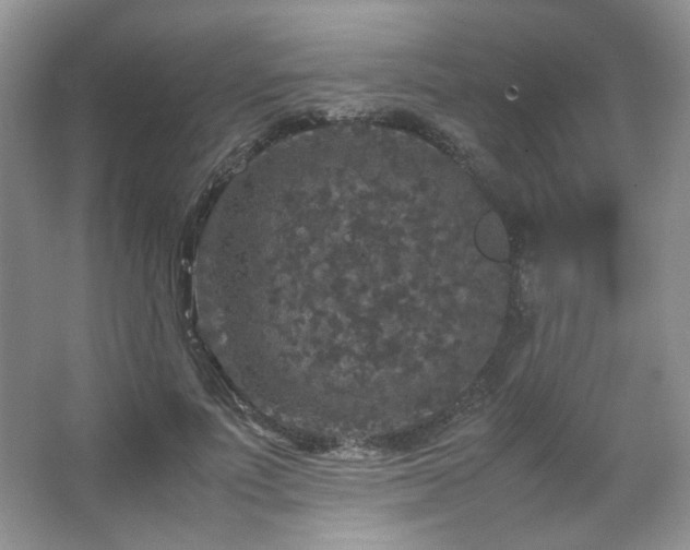 X0000067500691200604071227