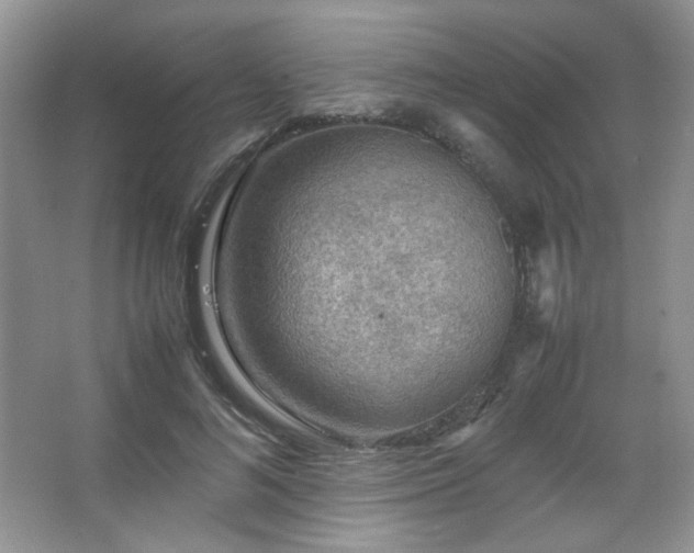 X0000067500692200604071227