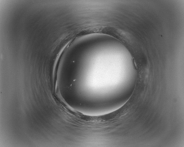 X0000067500693200604071227