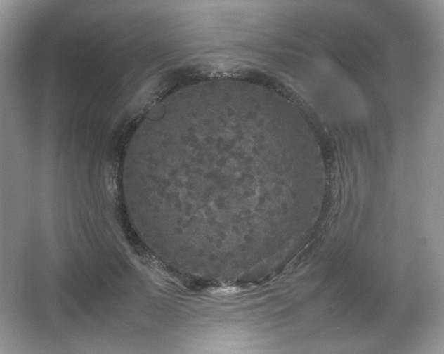 X0000067500695200604071226