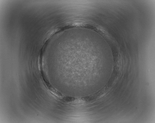 X0000067500696200604071226