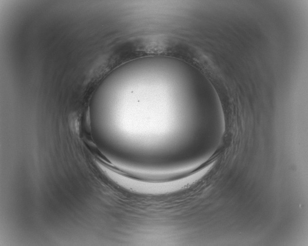 X0000067500697200604071226