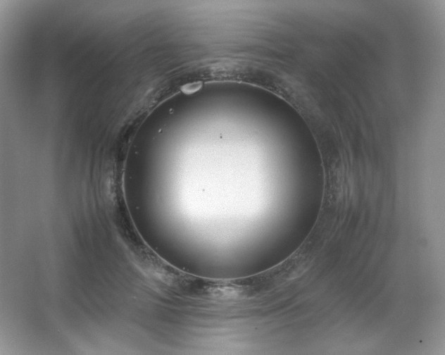 X0000067500698200604071226