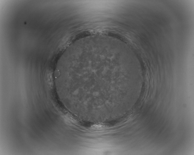 X0000067500699200604071226