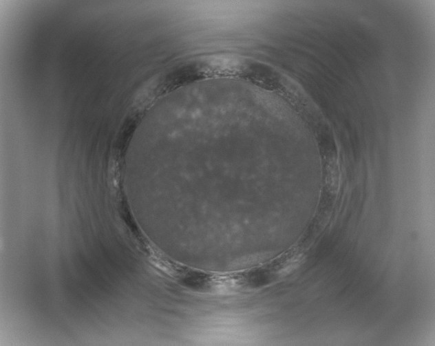 X0000067500701200604071226