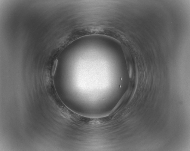 X0000067500704200604071226