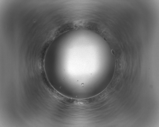 X0000067500706200604071226