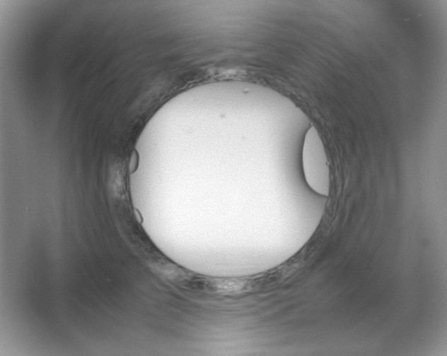 X0000067500709200604071226