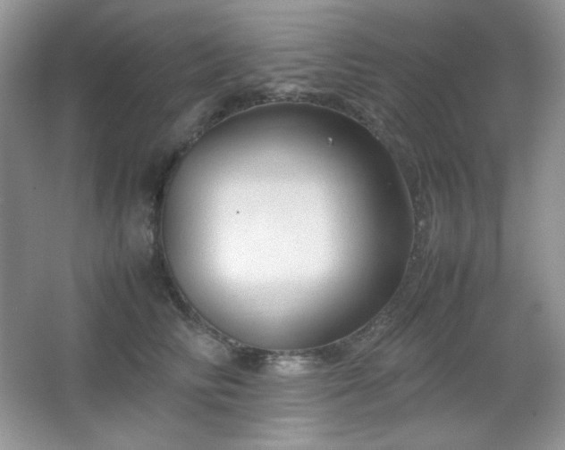 X0000067500710200604071226