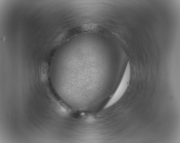 X0000067500712200604071226