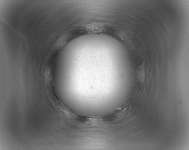 X0000067500713200604071226