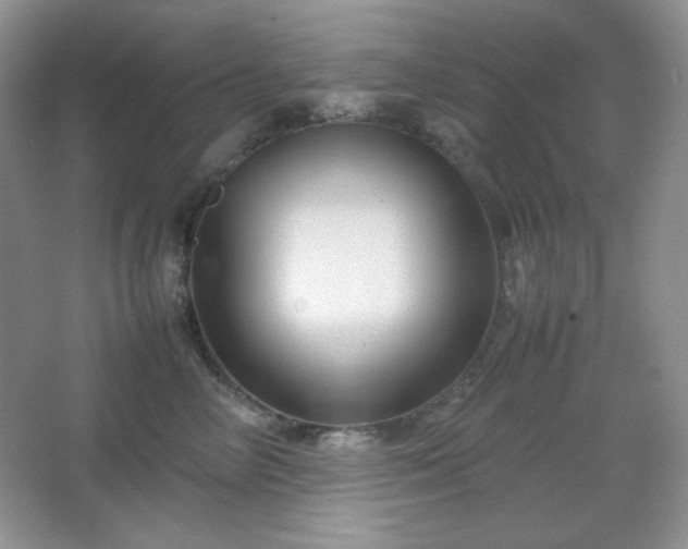 X0000067500714200604071226