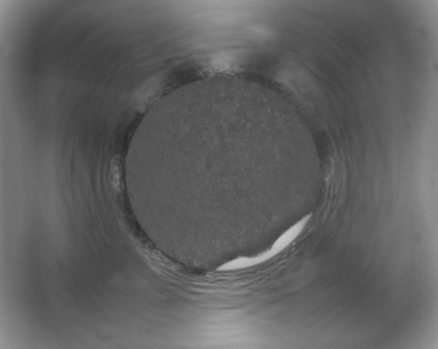 X0000067500715200604071226