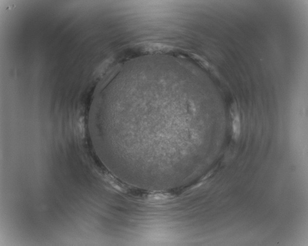 X0000067500716200604071226