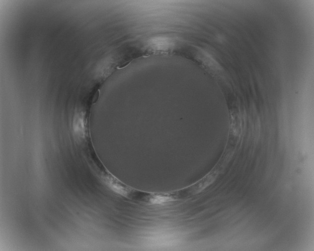 X0000067500718200604071226