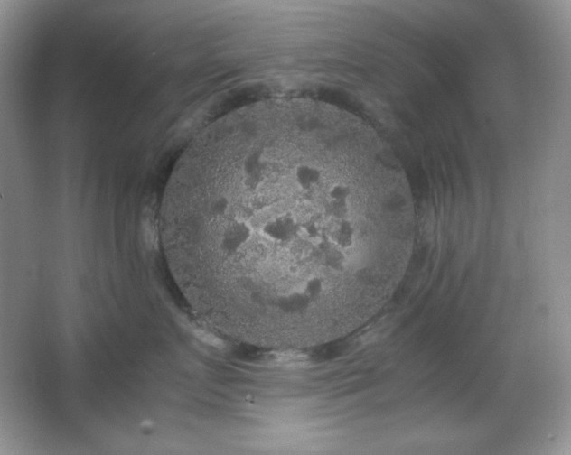 X0000067500719200604071226