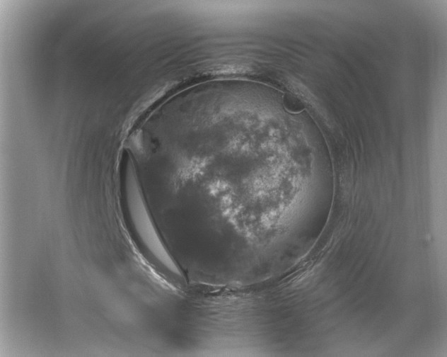 X0000067500721200604071225