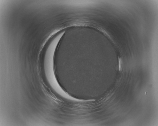 X0000067500723200604071225