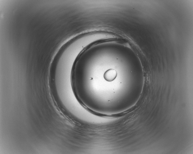 X0000067500724200604071225