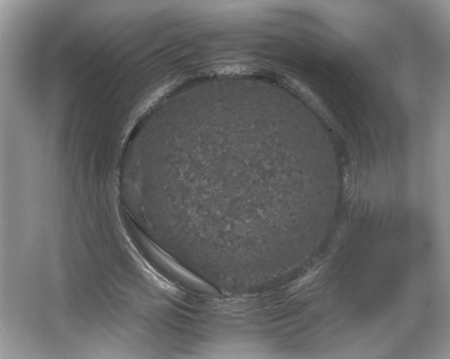 X0000067500725200604071225