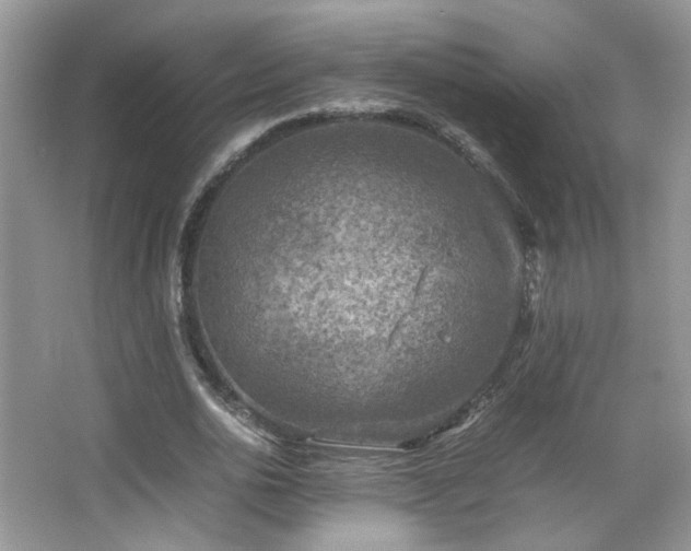 X0000067500726200604071225