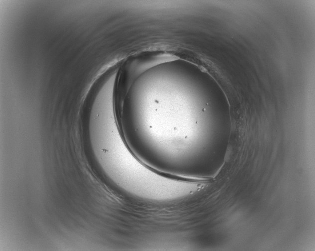 X0000067500727200604071225