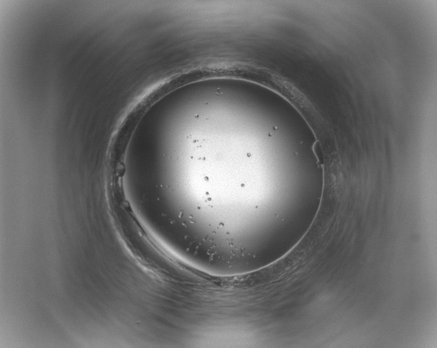 X0000067500728200604071225