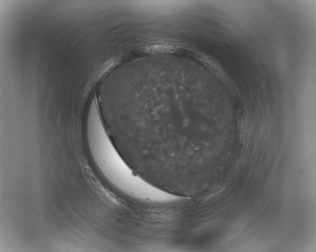 X0000067500729200604071225