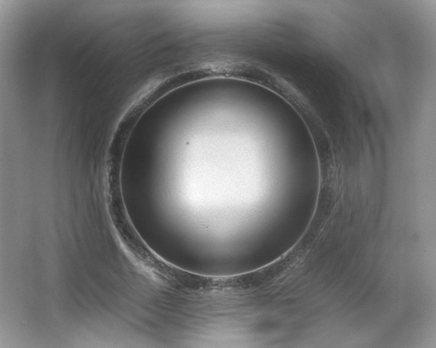 X0000067500730200604071225