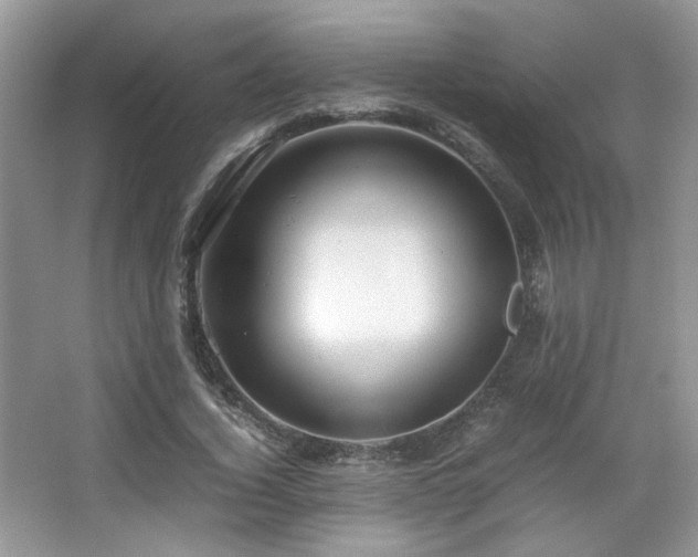 X0000067500732200604071225