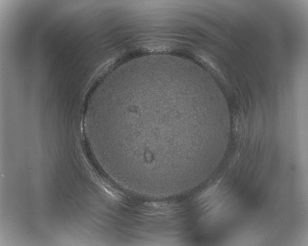 X0000067500733200604071225