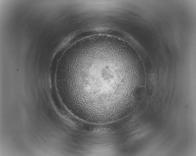 X0000067500734200604071225