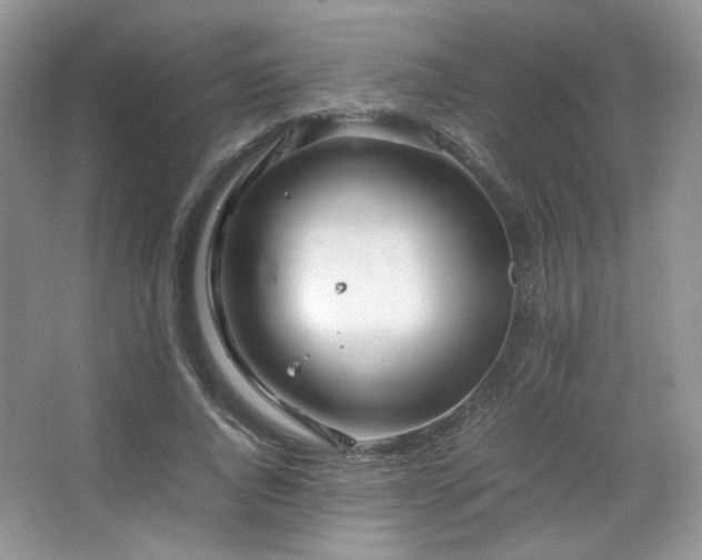 X0000067500736200604071226